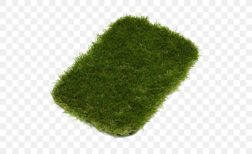 Garden Design Lawn Landscaping Artificial Turf, PNG, 500x500px, Garden, Artificial Turf, Busch Gardens Tampa, Garden Design, Grass Download Free