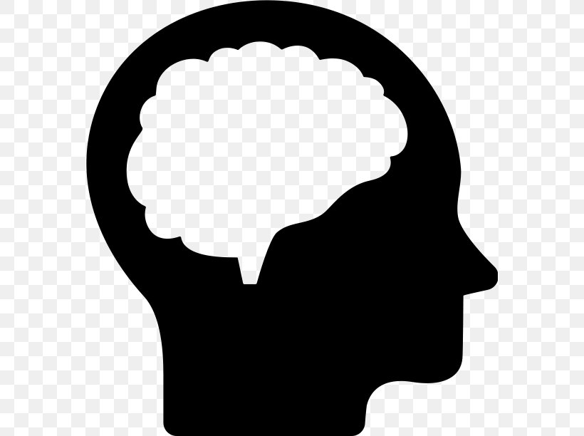 Human Head Brain, PNG, 578x612px, Human Head, Black And White, Brain, Head, Head And Neck Anatomy Download Free