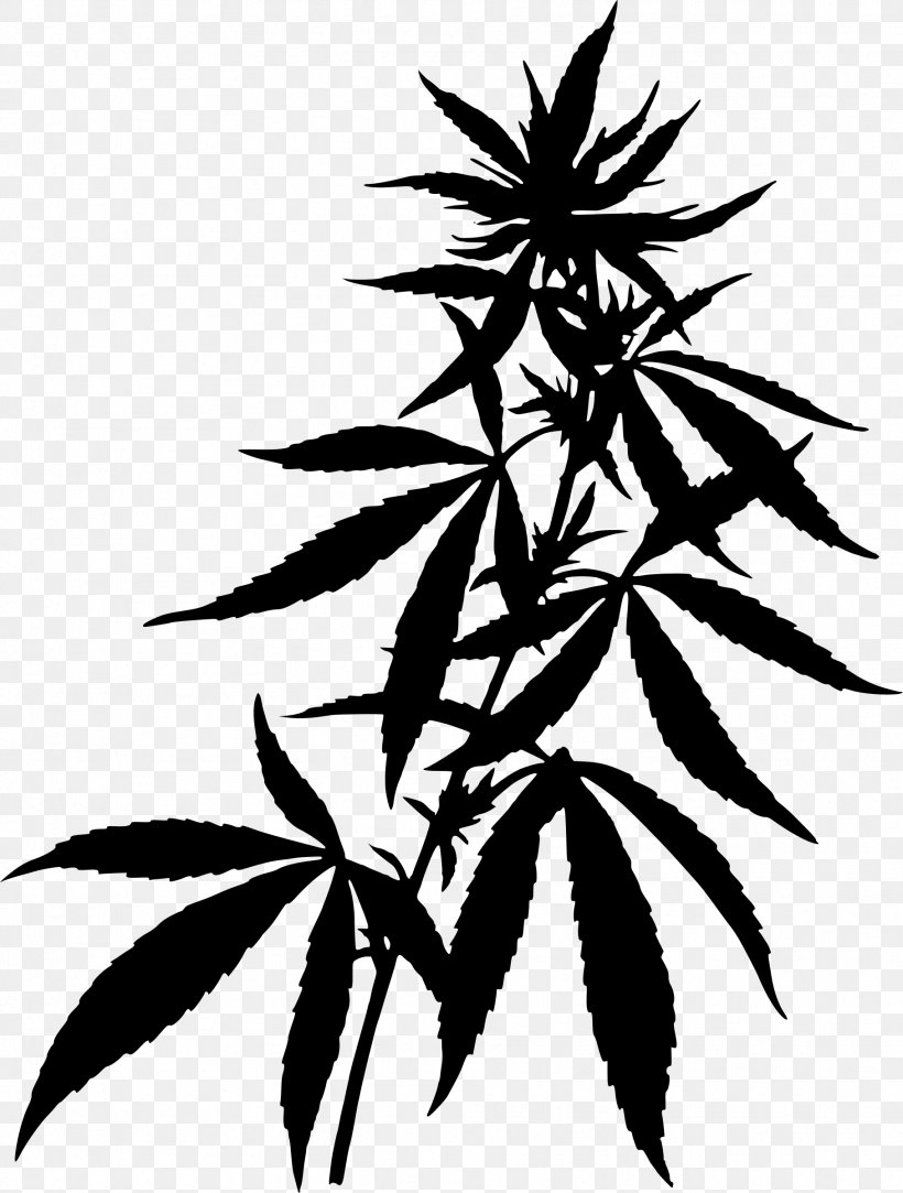 Medical Cannabis Hemp Clip Art, PNG, 1817x2400px, Cannabis, Black And White, Branch, Cannabis Sativa, Flowering Plant Download Free