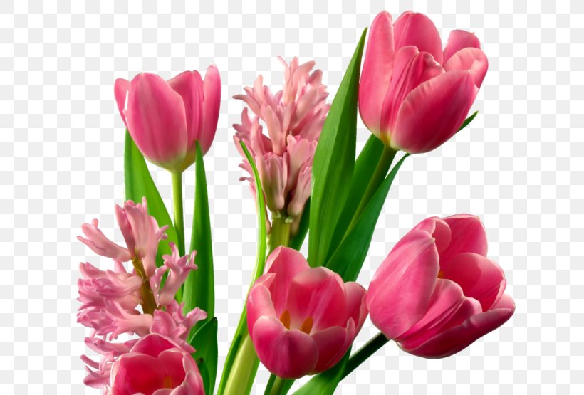 Flower Bouquet Tulip Clip Art, PNG, 740x555px, Flower Bouquet, Botany, Bud, Crocus, Cut Flowers Download Free