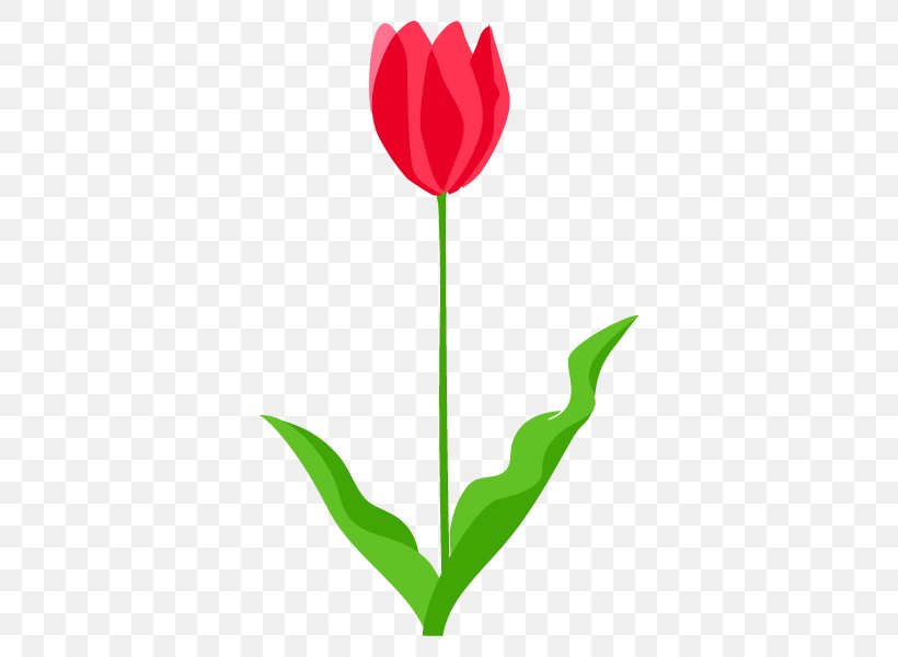 Tulip Illustration Flower Clip Art Plate-bande, PNG, 600x600px, Tulip, Color, Flower, Flowering Plant, Heart Download Free