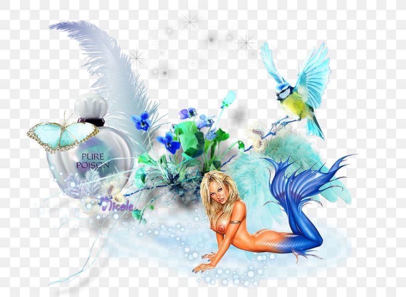 Fairy Desktop Wallpaper Organism, PNG, 800x600px, Fairy, Computer, Fictional Character, Microsoft Azure, Mythical Creature Download Free