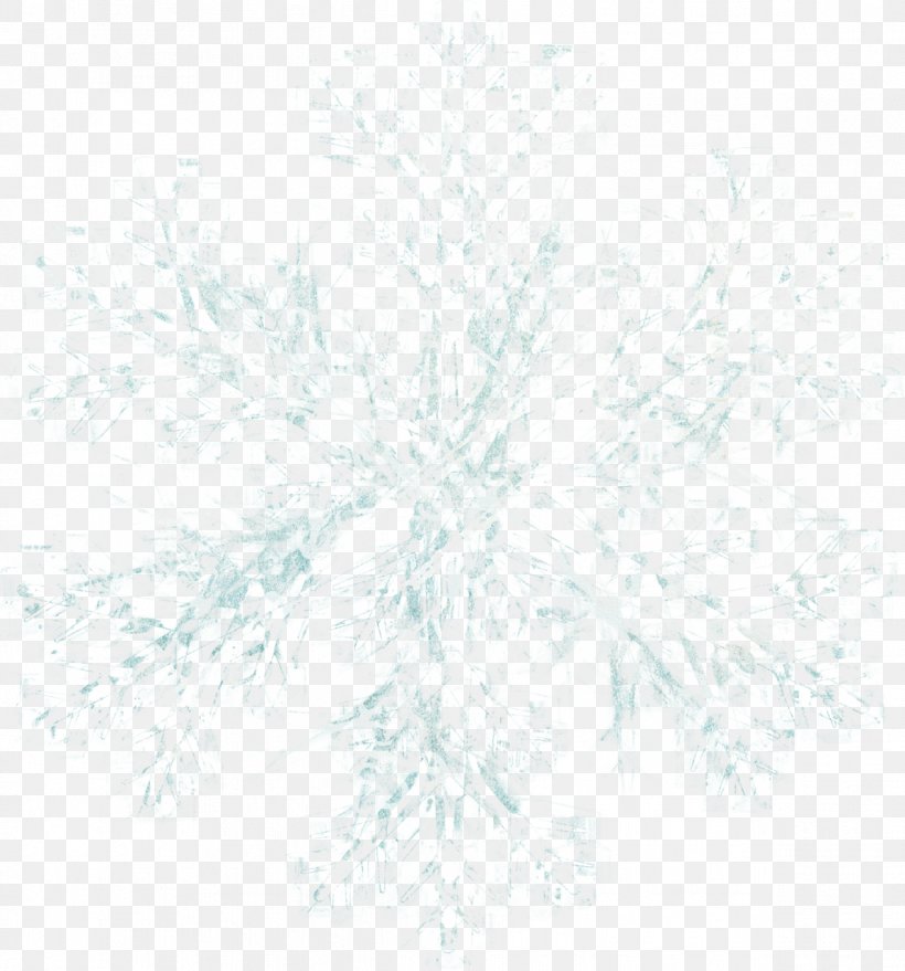 White Line, PNG, 1194x1280px, White, Black And White, Branch, Tree, Twig Download Free