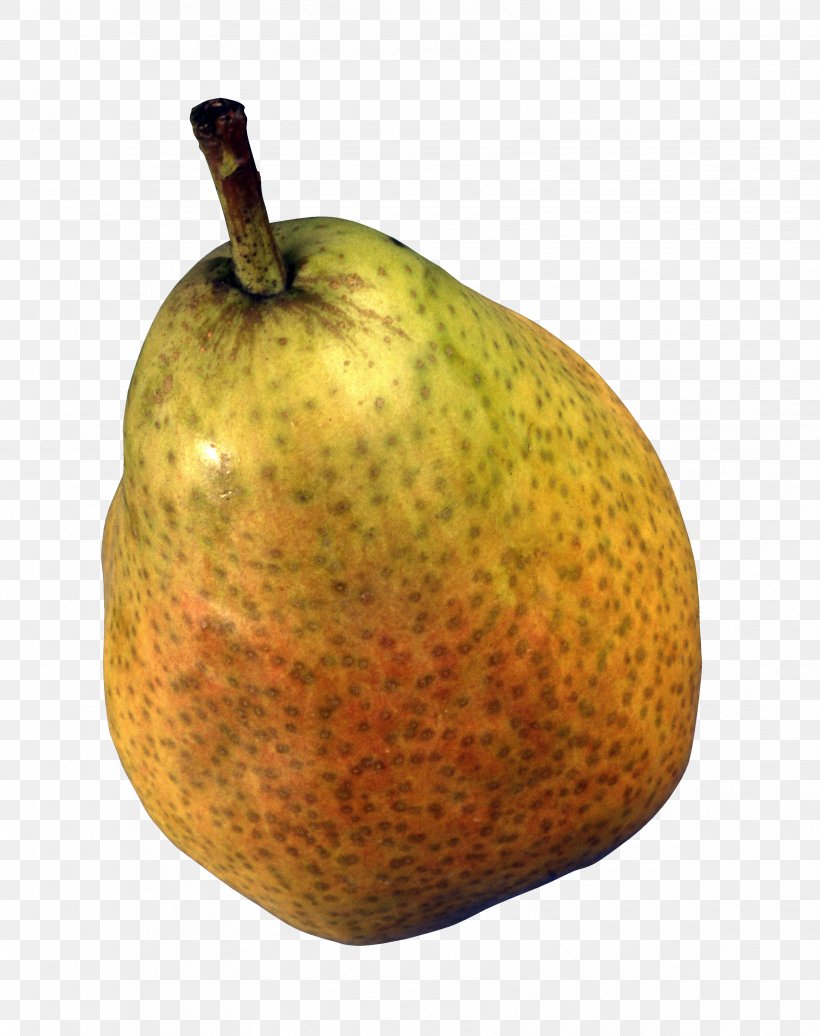 Food Fruit Williams Pear Bosc Pear, PNG, 3350x4234px, Food, Apple, Asian Pear, Bitter Melon, Bosc Pear Download Free