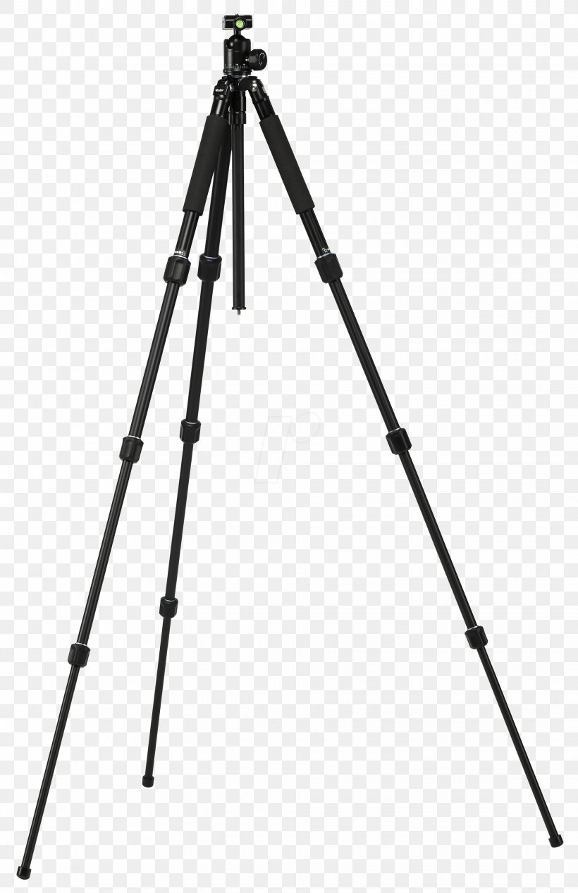 Gitzo Photography Tripod Carbon Fibers Ball Head, PNG, 1940x3000px, Gitzo, Ball Head, Benro, Camera, Camera Accessory Download Free