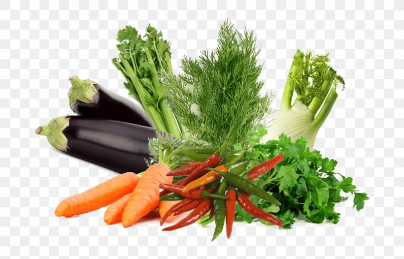 Leaf Vegetable Germination Food Herb, PNG, 824x529px, Leaf Vegetable, Agriculture, Carrot, Coriander, Diet Food Download Free