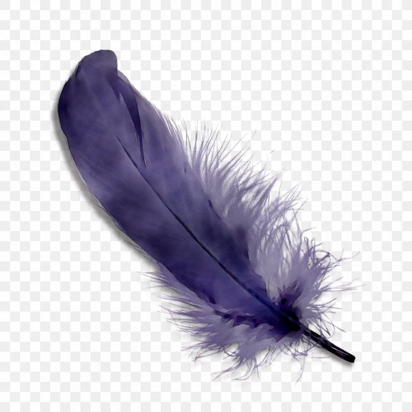 Purple Feather, PNG, 1377x1377px, Purple, Costume Accessory, Fashion Accessory, Feather, Natural Material Download Free