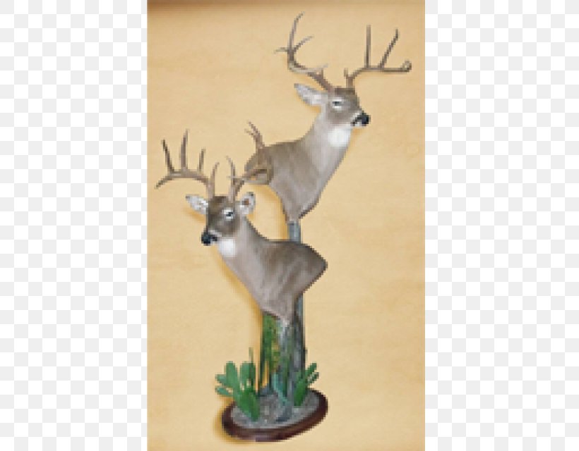 Reindeer Antler Fauna Wildlife, PNG, 800x640px, Reindeer, Antler, Deer, Fauna, Figurine Download Free