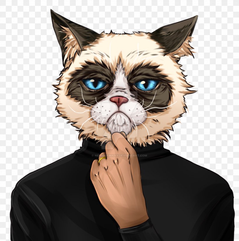 Grumpy Cat Kitten Whiskers Mouse, PNG, 1024x1031px, Cat, Battle Cats, Ear, Face, Facial Hair Download Free