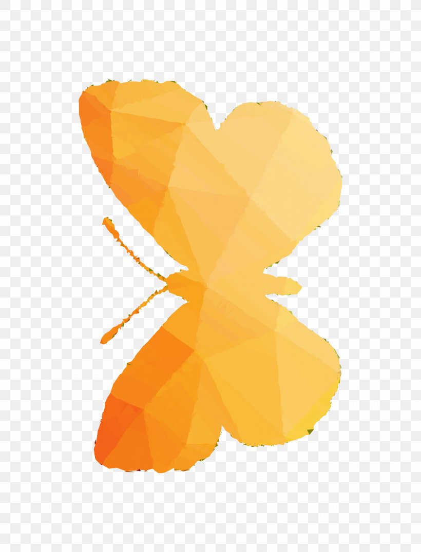 Illustration Graphics Product Design Desktop Wallpaper, PNG, 1600x2100px, Computer, Butterfly, Flower, Logo, Moths And Butterflies Download Free
