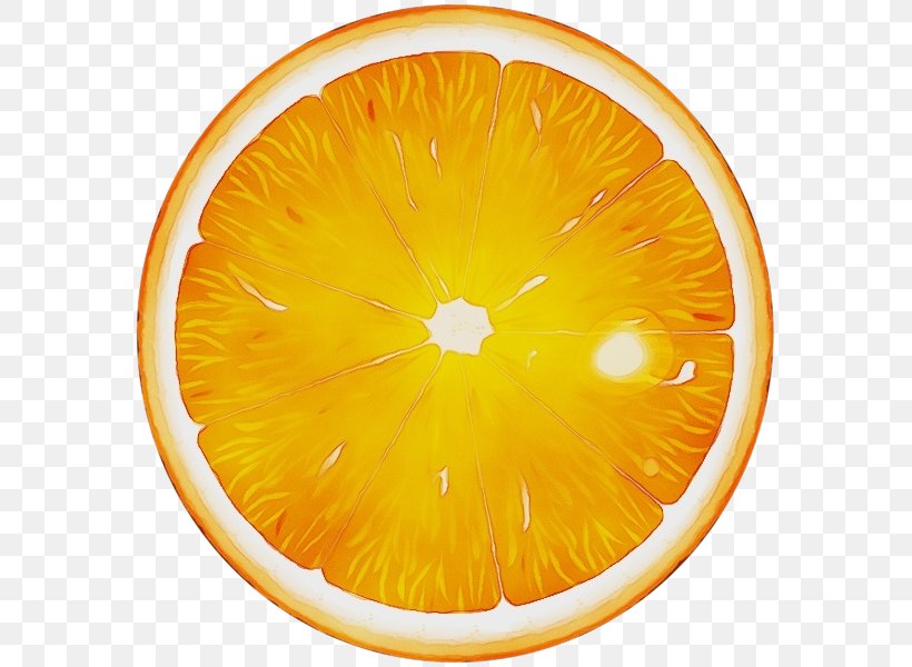 Lemon Cartoon, PNG, 587x600px, Watercolor, Citric Acid, Citrus, Clementine, Food Download Free