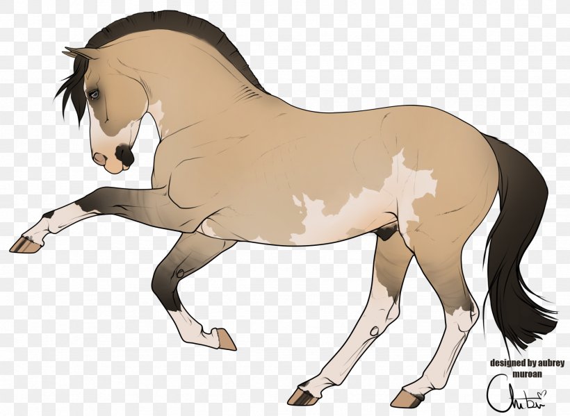 Mane Foal Stallion Mare Colt, PNG, 1846x1349px, Mane, Bridle, Colt, Donkey, English Riding Download Free