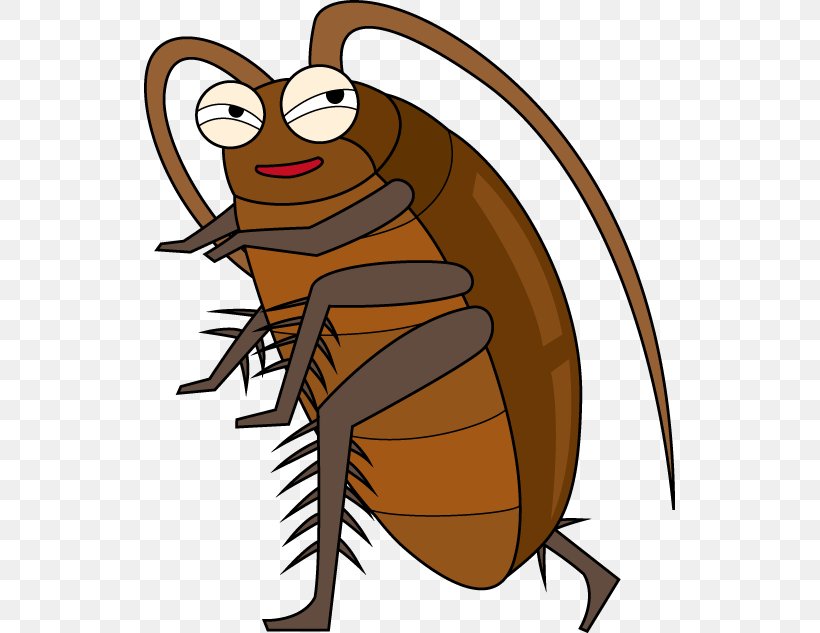 Blattodea Cockroach Roach Motel Pest Control Insecticide, PNG, 531x633px, Blattodea, Artwork, Boric Acid, Cartoon, Cockroach Download Free