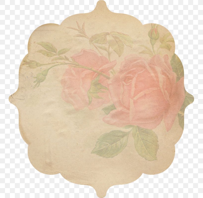 Cabbage Rose Floral Design Cut Flowers Petal, PNG, 749x800px, Cabbage Rose, Cut Flowers, Dishware, Floral Design, Flower Download Free