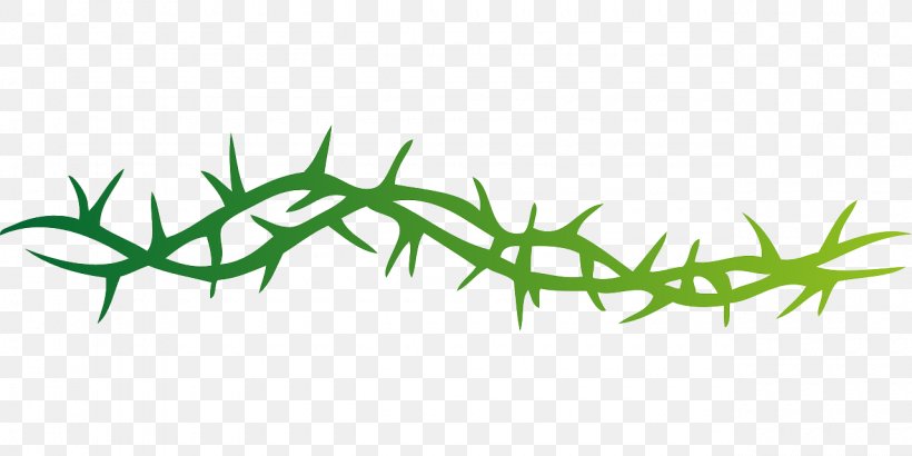 Clip Art Thorns, Spines, And Prickles Vector Graphics Free Content, PNG, 1280x640px, Thorns Spines And Prickles, Branch, Cactus, Computer Software, Crown Of Thorns Download Free