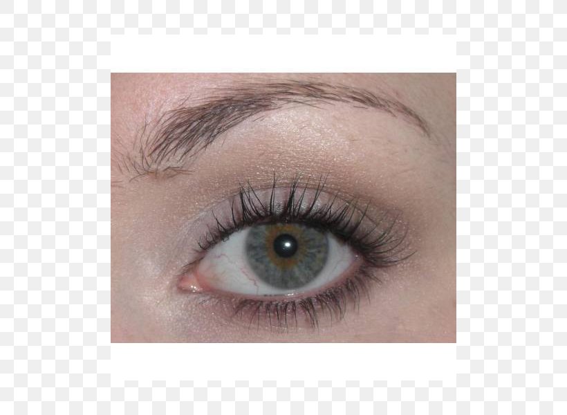 Eyebrow Eyelash Eye Shadow Cosmetics, PNG, 800x600px, Eyebrow, Beauty, Close Up, Closeup, Cosmetics Download Free