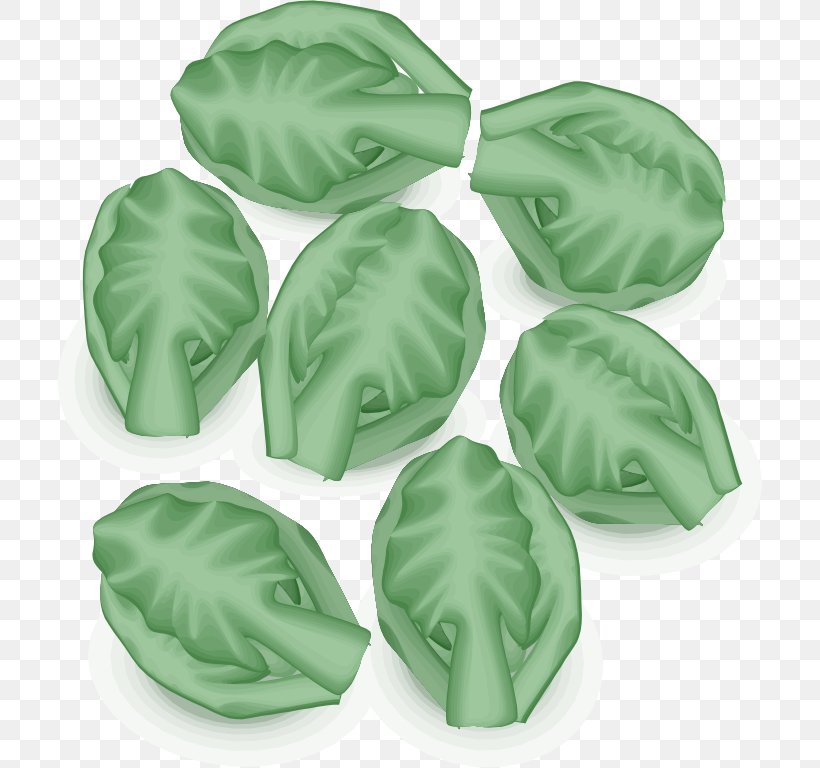 Brussels Sprout Vegetable Sprouting Clip Art, PNG, 706x768px, Brussels, Belgium, Brussels Sprout, Cabbage, Cooking Download Free