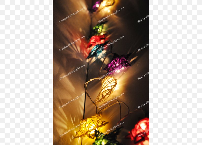 Christmas Ornament Christmas Lights Color Christmas Tree, PNG, 590x590px, Christmas Ornament, Ball, Christmas, Christmas Decoration, Christmas Lights Download Free