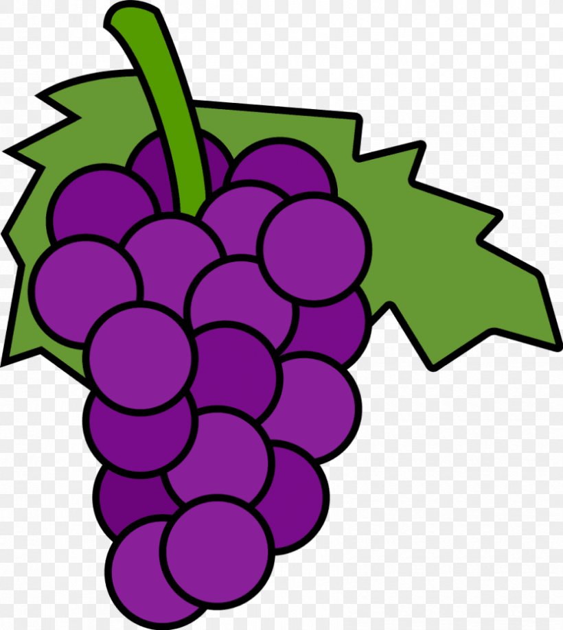 Common Grape Vine Wine Free Content Clip Art, PNG, 830x930px, Common Grape Vine, Artwork, Cartoon, Document, Flower Download Free