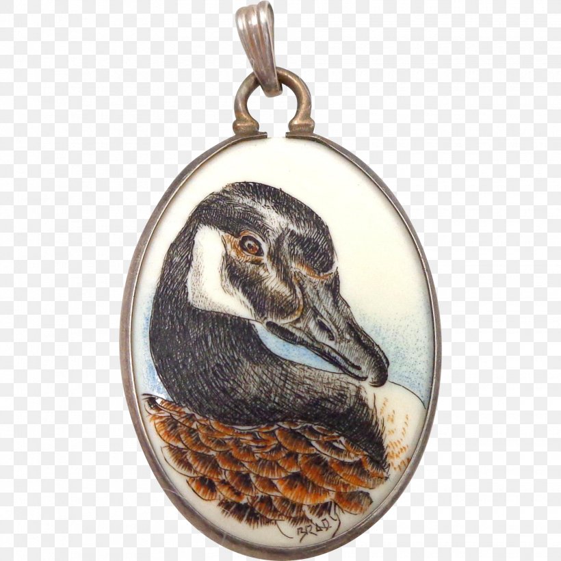 Duck Anatidae Water Bird Goose Locket, PNG, 1930x1930px, Duck, Anatidae, Beak, Bird, Charms Pendants Download Free