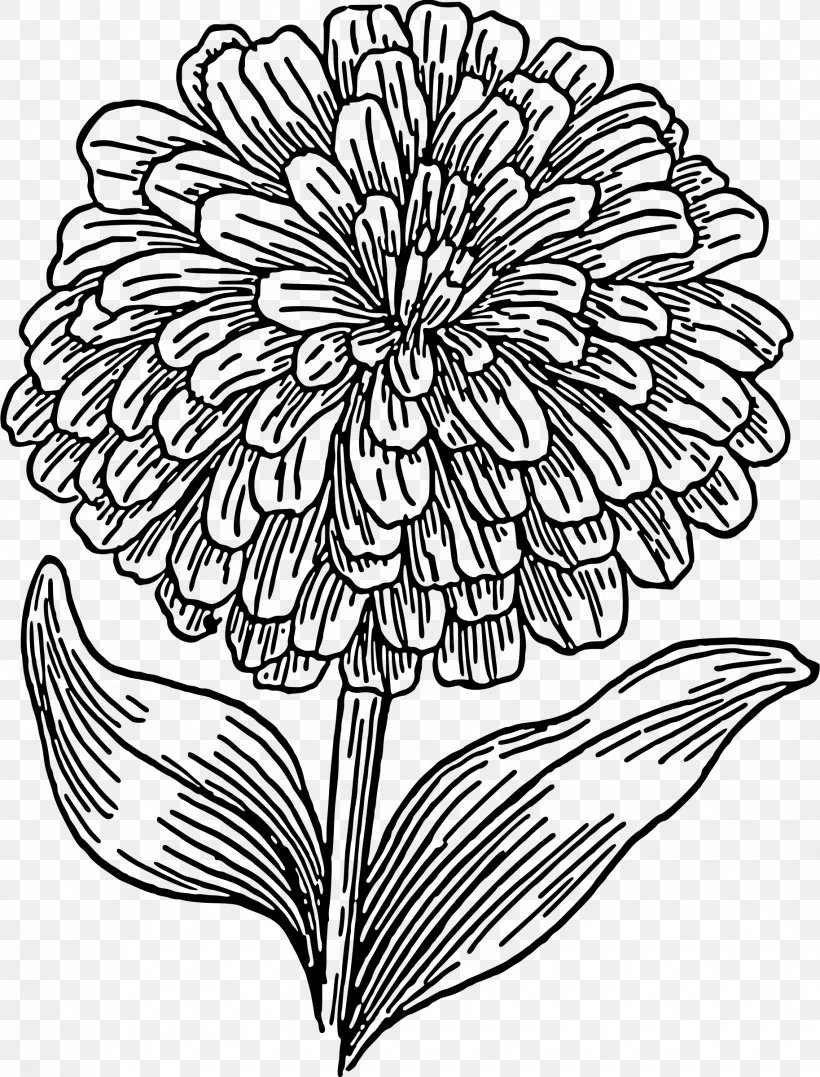 Mexican Marigold Coloring Book Drawing Child, PNG, 1827x2400px, Mexican Marigold, Adult, Art, Artwork, Black And White Download Free