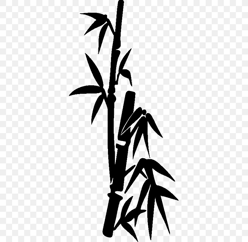 Bambou Bamboo Wall Decal Sticker Paper, PNG, 800x800px, Bambou, Bamboo, Black And White, Branch, Decal Download Free