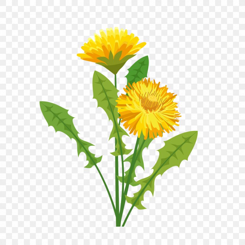 Cut Flowers May Sainte-Adresse Sunflowers Annual Plant, PNG, 1000x1000px, 2018, Cut Flowers, Annual Plant, Calendula, Calendula Officinalis Download Free