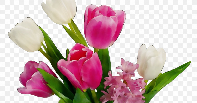 Floral Design, PNG, 1200x630px, Watercolor, Bouquet, Bud, Crocus, Cut Flowers Download Free