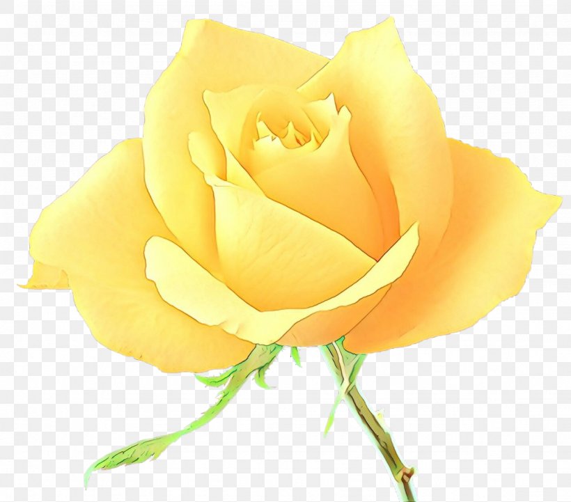 Garden Roses, PNG, 1024x901px, Cartoon, Floribunda, Flower, Flowering Plant, Garden Roses Download Free