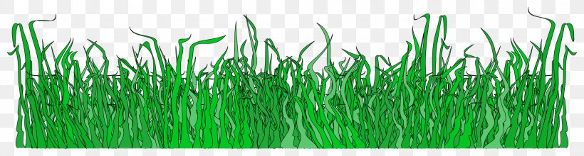 Lawn Clip Art, PNG, 2400x644px, Lawn, Commodity, Grass, Grass Family, Green Download Free