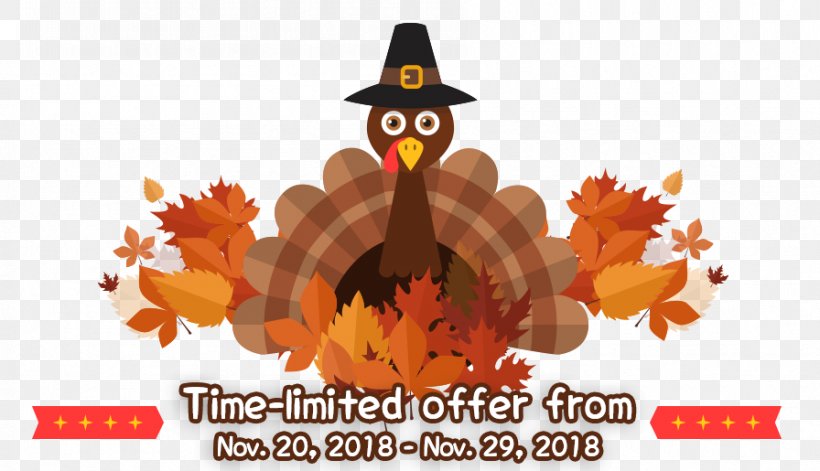 Thanksgiving Pumpkin, PNG, 896x515px, Pumpkin, Computer, Plant, Thanksgiving, Turkey Download Free