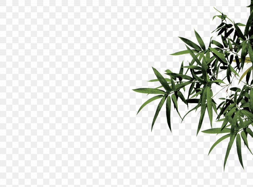 Wen Xuan Bamboo Ink, PNG, 3508x2598px, Wen Xuan, Bamboo, Fountain Pen Ink, Grass, Green Download Free