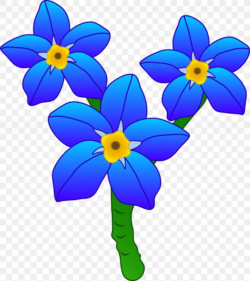 Flower Scorpion Grasses Clip Art, PNG, 5913x6662px, Flower, Art, Blue, Cartoon, Document Download Free