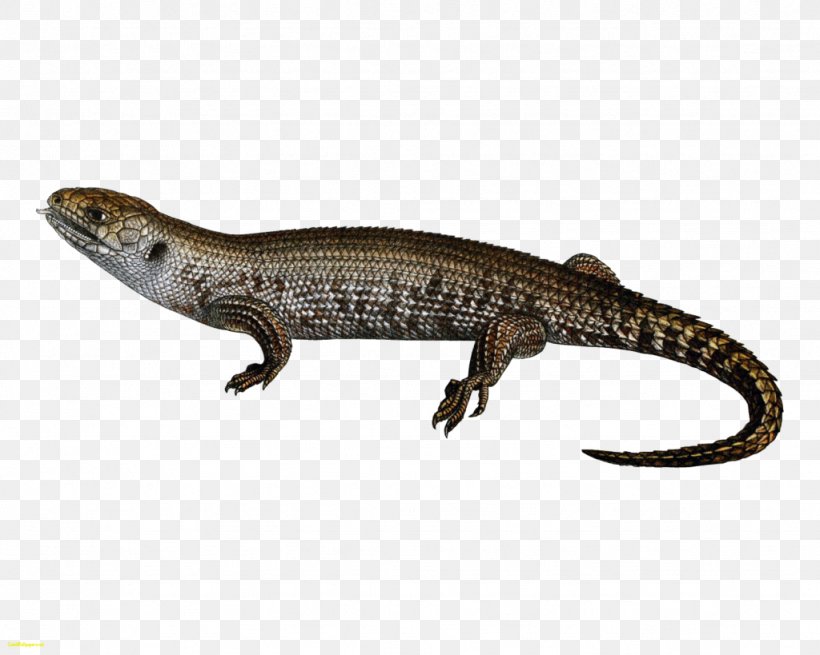 Lizard Common Iguanas, PNG, 1024x819px, Lizard, Agama, Agamidae, Alligator Lizard, Amphibian Download Free