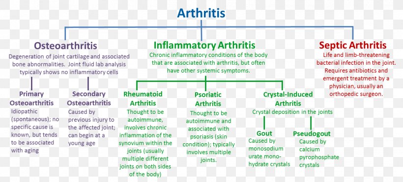 Osteoarthritis Rheumatoid Arthritis Disease Knee Arthritis, PNG, 1547x700px, Arthritis, Area, Autoimmunity, Chronic Condition, Cure Download Free
