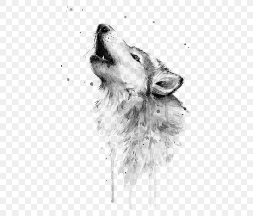 Watercolor Painting Gray Wolf Art Drawing, PNG, 427x700px, Watercolor Painting, Art, Art Museum, Artist, Artwork Download Free