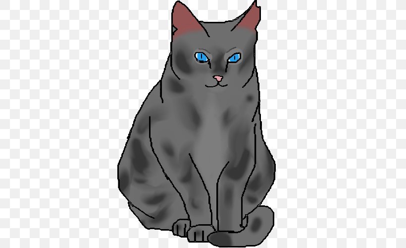 Whiskers Korat Kitten Domestic Short-haired Cat Black Cat, PNG, 500x500px, Whiskers, Black Cat, Canidae, Carnivoran, Cartoon Download Free