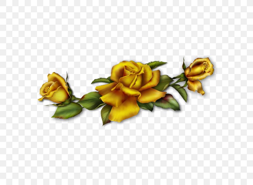Golden Rose, PNG, 600x600px, Golden Rose, Blog, Cut Flowers, Floral Design, Floristry Download Free
