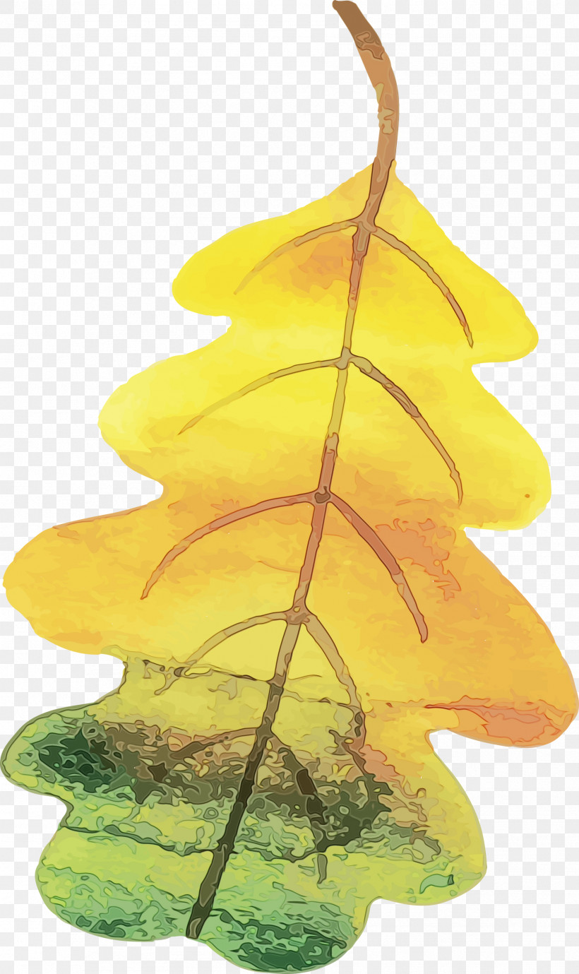 Leaf Tree 2050 Plant Structure Biology, PNG, 1783x3000px, Watercolor Autumn, Biology, Colorful Leaf, Leaf, Paint Download Free