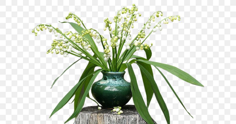 Lily Of The Valley 1 May Floral Design, PNG, 600x432px, 2016, 2017, 2018, Lily Of The Valley, Animaatio Download Free