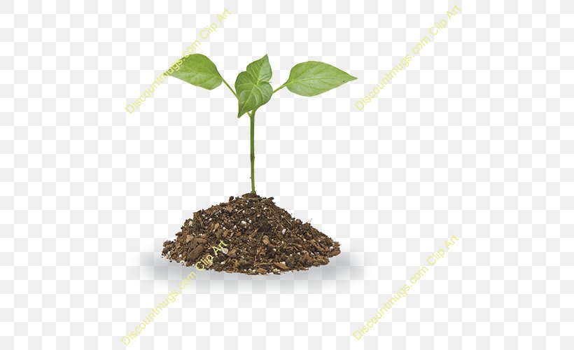 Soil Plant Clip Art, PNG, 500x500px, Soil, Clay, Herb, Information, Leaf Download Free
