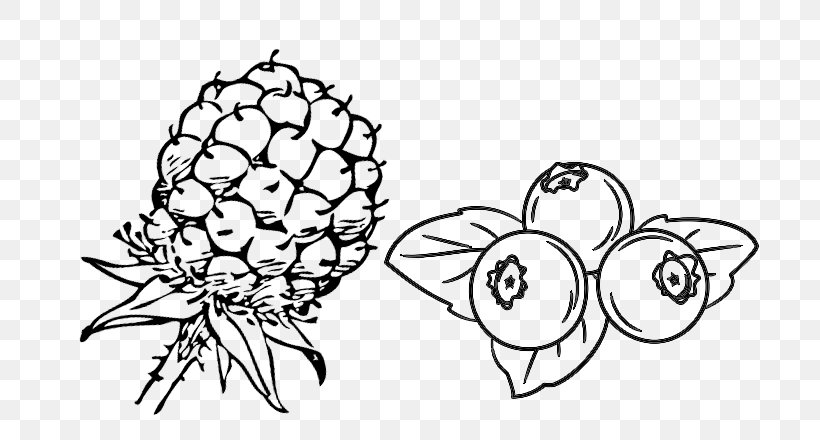 Blueberry Drawing Line Art Berries Food, PNG, 752x440px, Blueberry, Artwork, Berries, Black And White, Blackberry Download Free