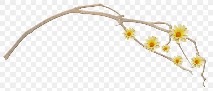Cut Flowers Branch Twig Plant Stem, PNG, 3063x1320px, Flower, Body Jewellery, Body Jewelry, Branch, Cut Flowers Download Free
