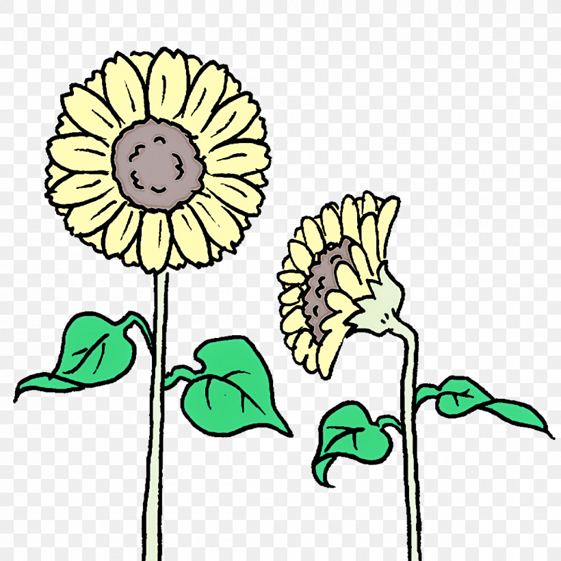 Floral Design, PNG, 1200x1200px, Floral Design, Common Sunflower, Cut Flowers, Flower, Nectar Download Free