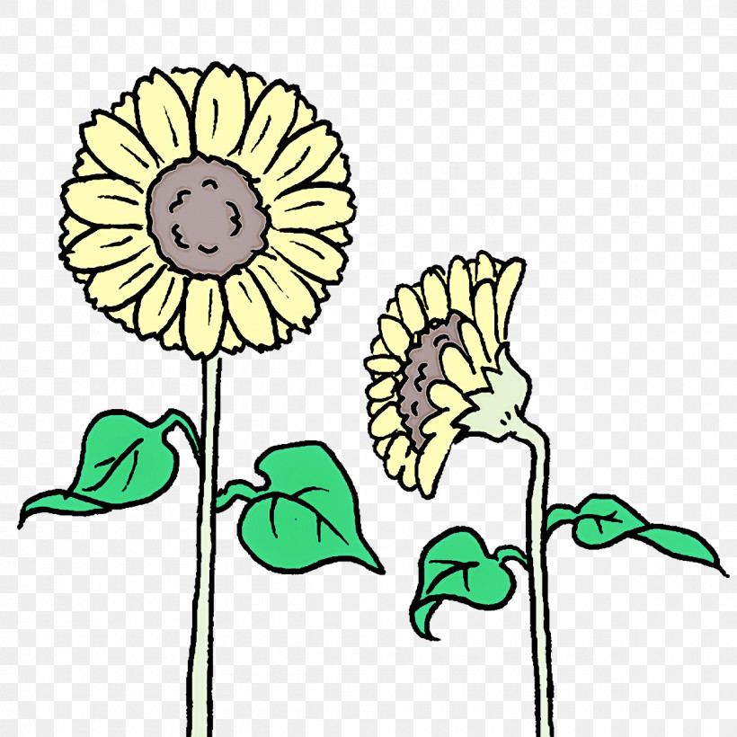 Floral Design PNG