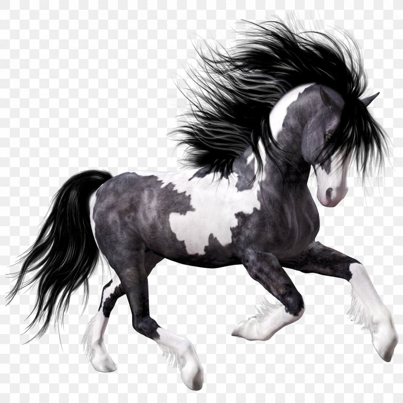 Mustang Foal Black Clip Art, PNG, 1750x1750px, Mustang, Black, Black And White, Bridle, Drawing Download Free