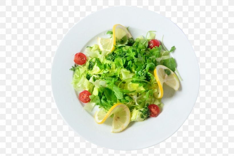 Paneer Tikka Salad Dressing Vegetable Eating, PNG, 3372x2256px, Paneer Tikka, Asian Food, Calorie, Cuisine, Dish Download Free