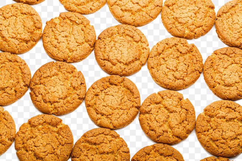 Peanut Butter Cookie Oatmeal Raisin Cookies Snickerdoodle Anzac Biscuit, PNG, 1024x683px, Peanut Butter Cookie, Amaretti Di Saronno, Anzac Biscuit, Baked Goods, Baking Download Free