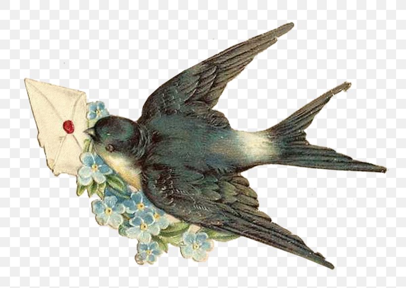 Swallow Psd Clip Art Image, PNG, 800x583px, Swallow, Beak, Bird, Fauna, Feather Download Free