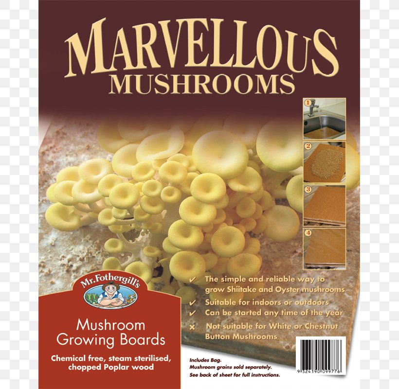 Vegetarian Cuisine Oyster Mushroom Pleurotus Djamor Spore, PNG, 800x800px, Vegetarian Cuisine, Bunnings Warehouse, Cuisine, Edible Mushroom, Food Download Free